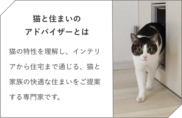 猫と住まいのアドバイザーとは